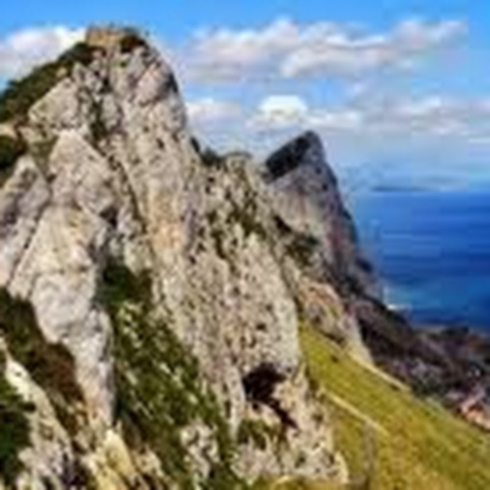 Meet your Posher, Arden